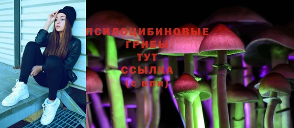 дурь Алексин