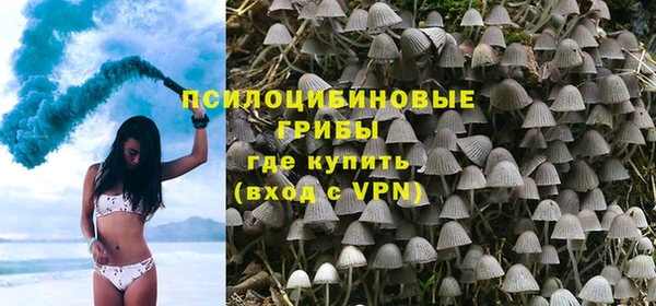 дурь Алексин