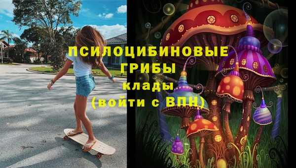 дурь Алексин