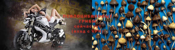 COCAINE Алзамай