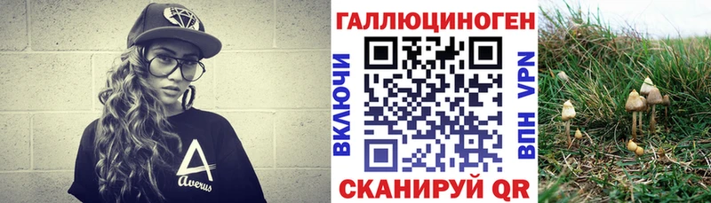 как найти наркотики  Приморск  Галлюциногенные грибы GOLDEN TEACHER 